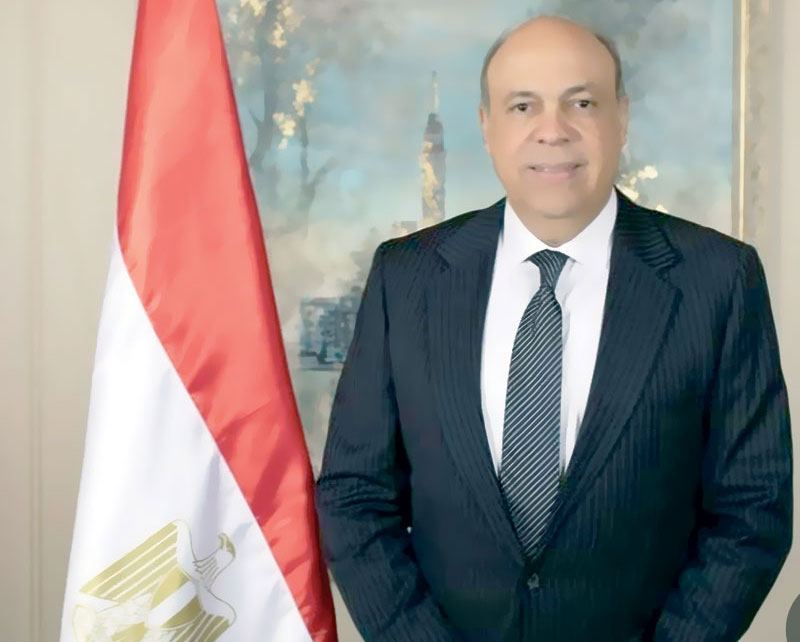 سامح الحفنى