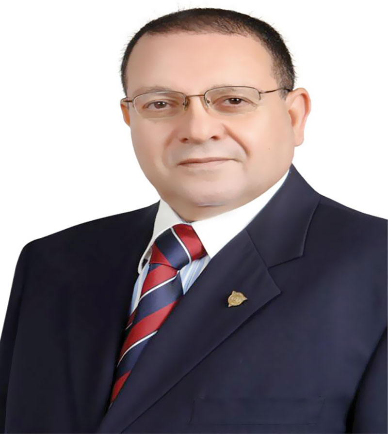 دكتور محمد ربيع