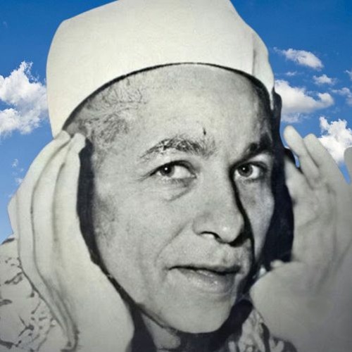 الشيخ منصور الشامي الدمنهوري