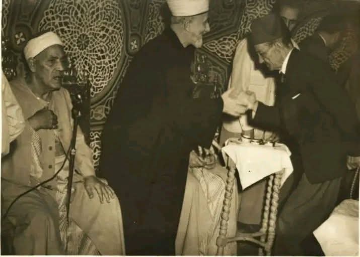 الشيخ محمد الصيفي&nbsp;