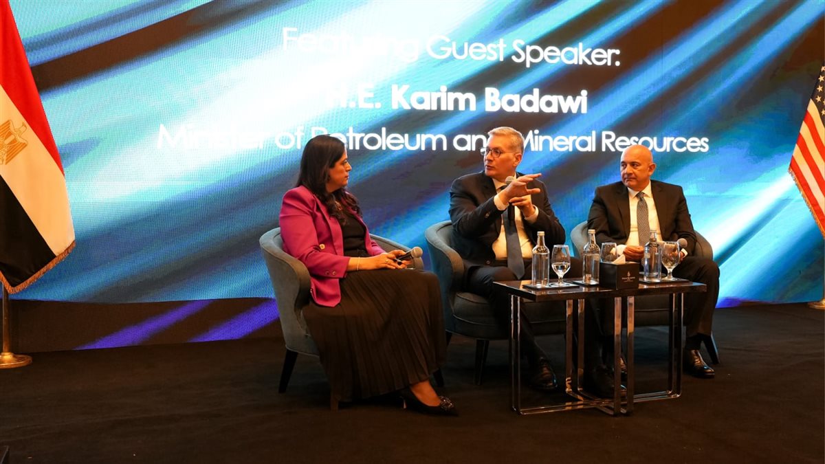 وزير البترول: تأمين احتياجات الدولة من الغاز والوقود منذ يوليو