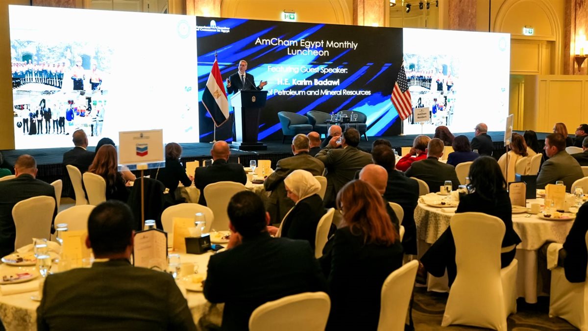 وزير البترول: تأمين احتياجات الدولة من الغاز والوقود منذ يوليو