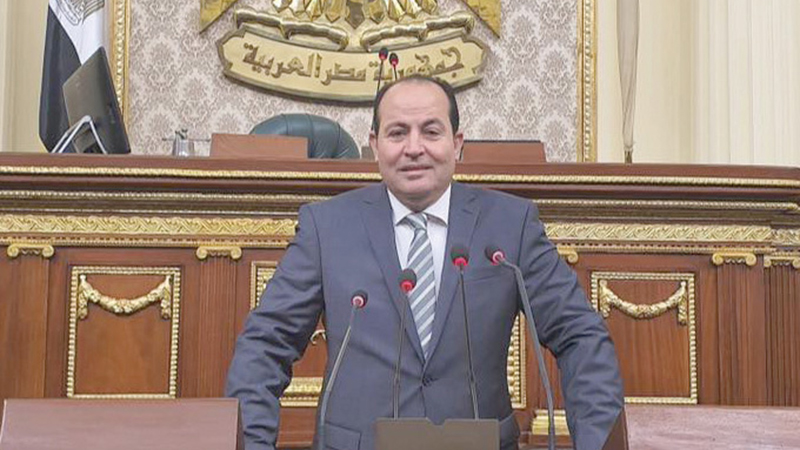 عبدالباسط الشرقاوى: نائب رئيس حزب الوفد