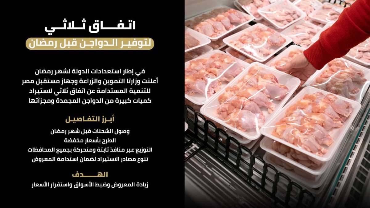 فراخ مجمدة&nbsp;