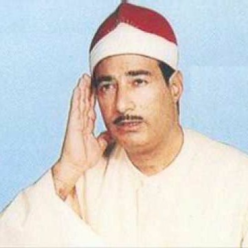 الشيخ الطوخي&nbsp;