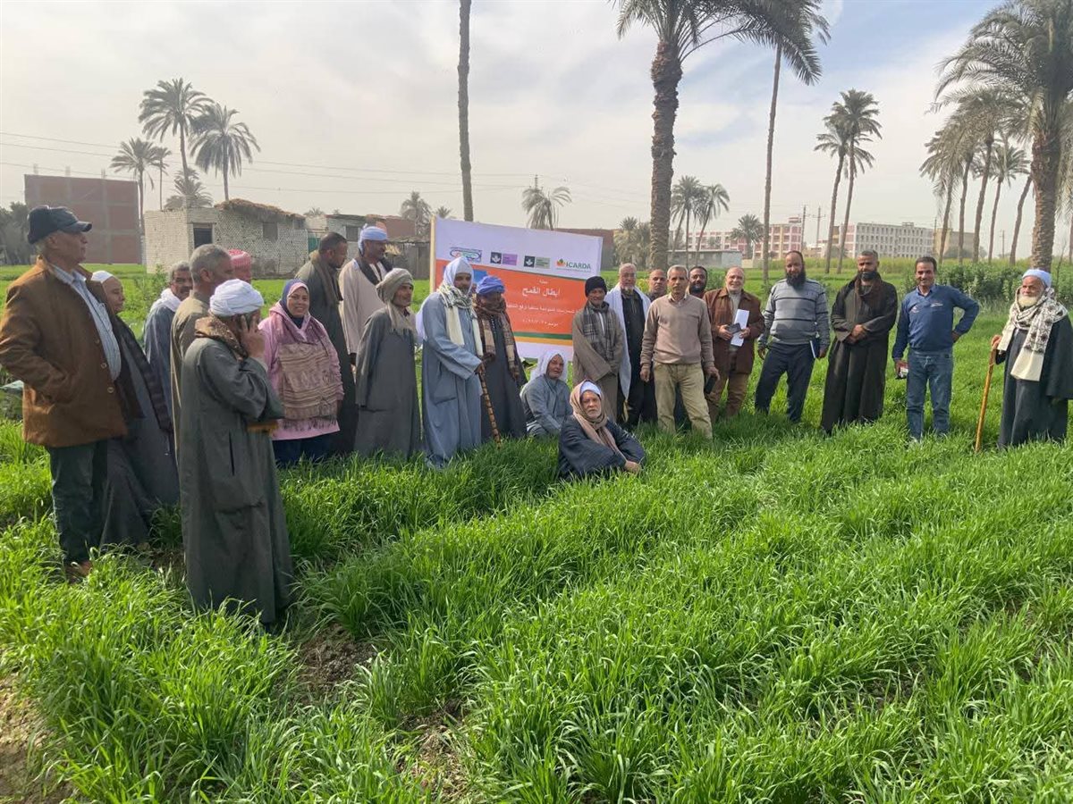 FB_IMG_1770811652472