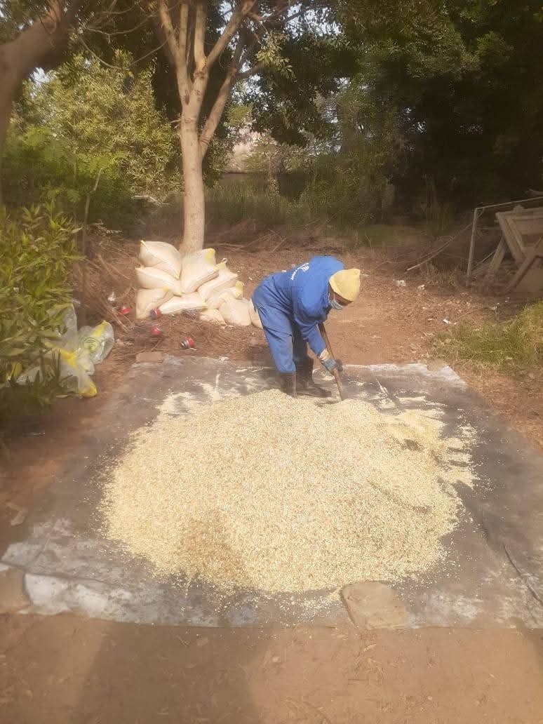 FB_IMG_1770811610698