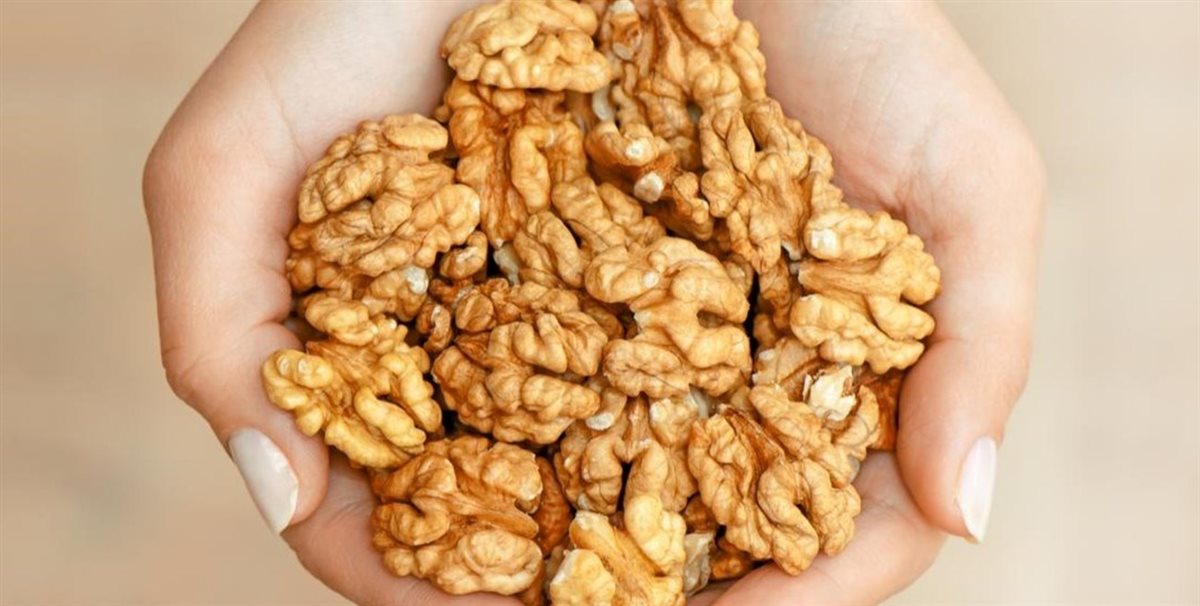 فوائد الجوز