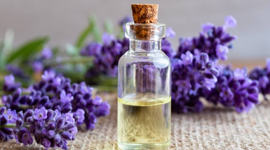 زيت اللافندر
