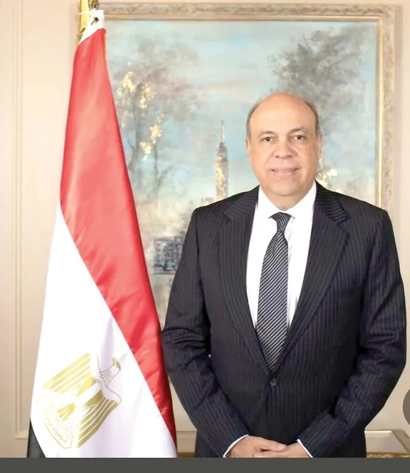 سامح الحفنى