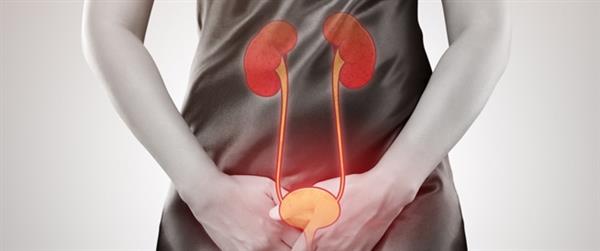 التهابات المسالك البولية