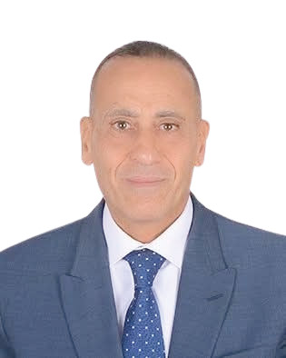 سامح فوزى