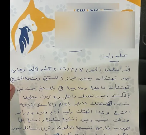 التقرير الطبي لكب السويس