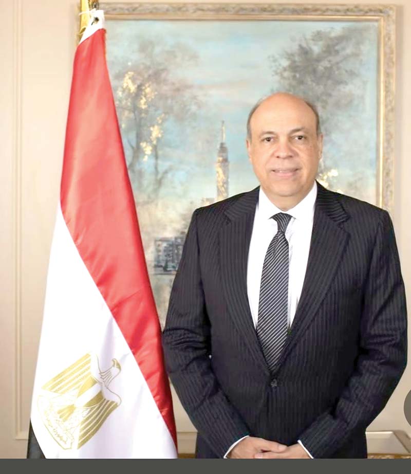 سامح الحفنى