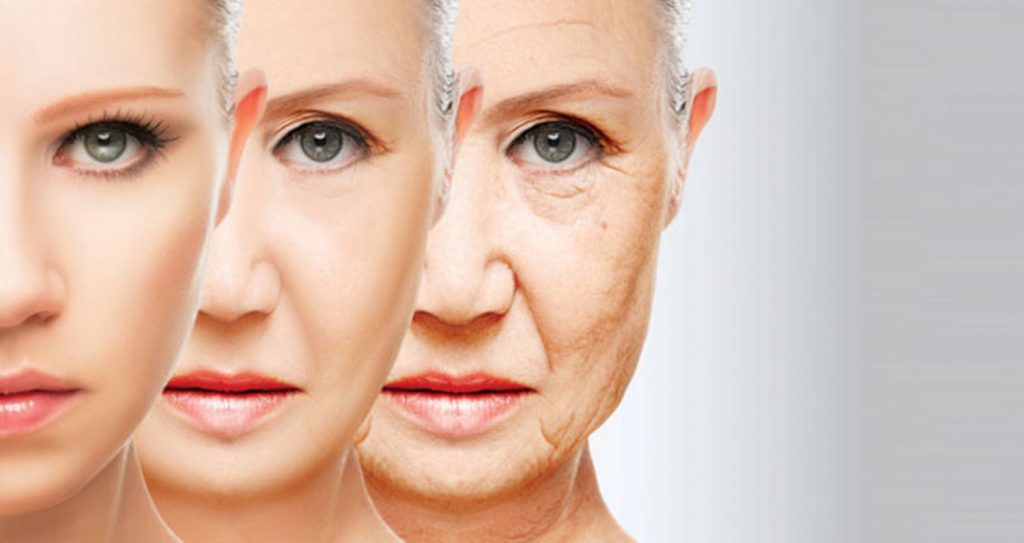 الشيخوخة&nbsp;