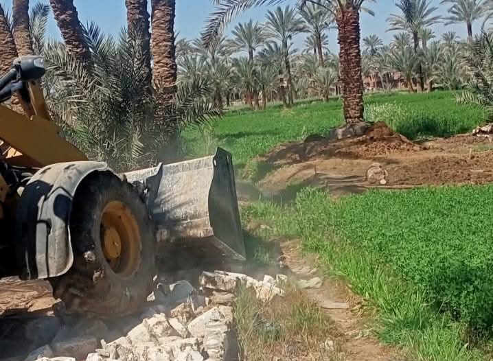 إزالة التعديات على الأراضي الزراعية&nbsp;