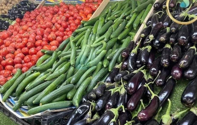 ارتفاع أسعار الطماطم