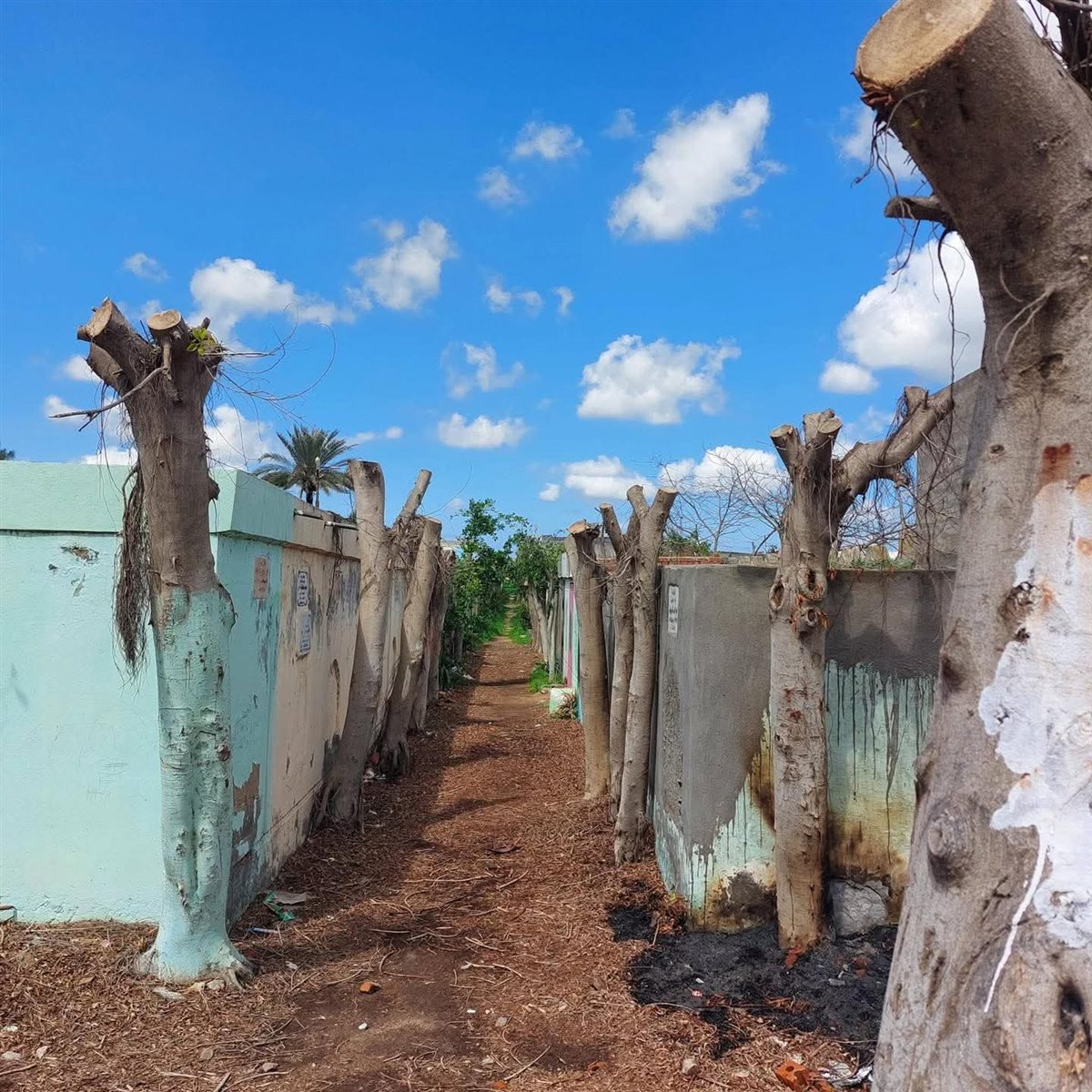 لجنة الوفد بكفر الشيخ تندد بـ 