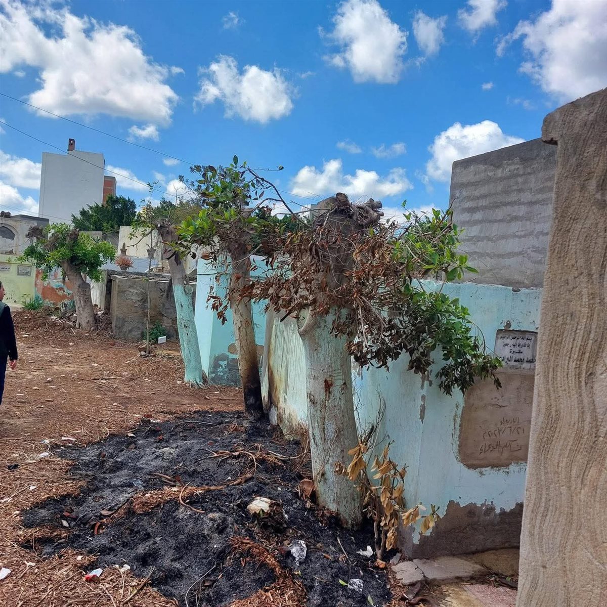 لجنة الوفد بكفر الشيخ تندد بـ 