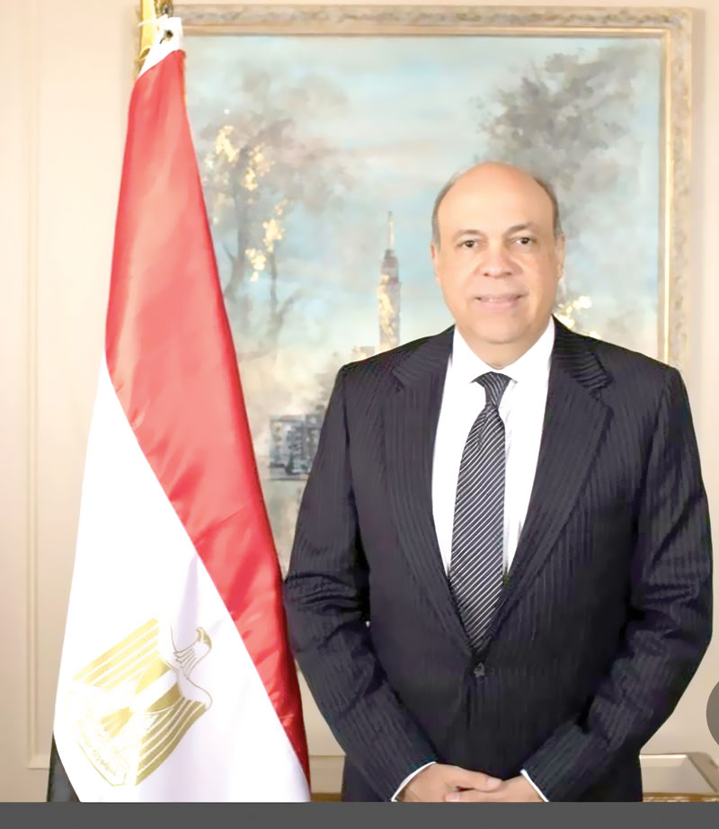 سامح الحفنى