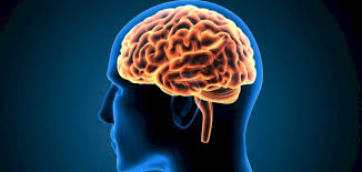 صحة الدماغ