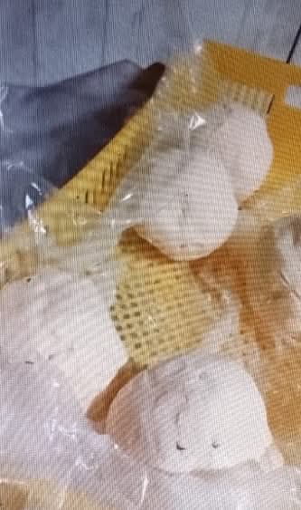 FB_IMG_1777191169247