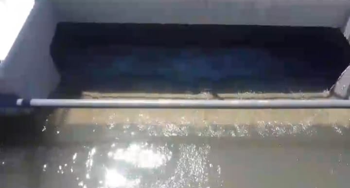 1000523494