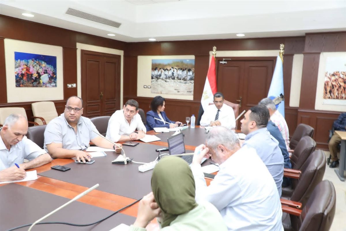الاجتماع&nbsp;