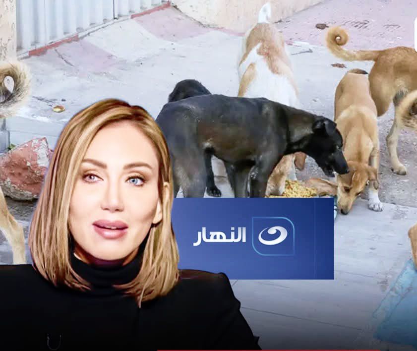 <strong>حذف حلقة ريهام سعيد </strong>