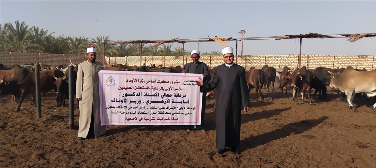 الأوقاف تتابع تجهيز الأضاحي بمجازر أبو سمبل استعدادًا لعيد الأضحى