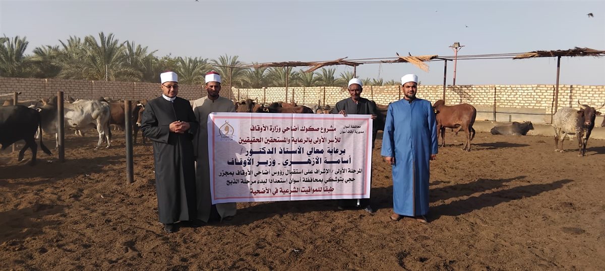 الأوقاف تتابع تجهيز الأضاحي بمجازر أبو سمبل استعدادًا لعيد الأضحى