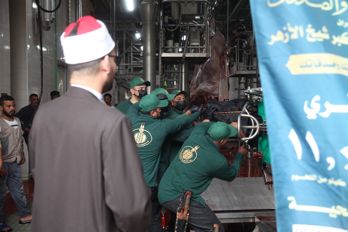 بيت الزكاة والصدقات يبدأ ذبح الأضاحي وتوزيع لحوم الصكوك