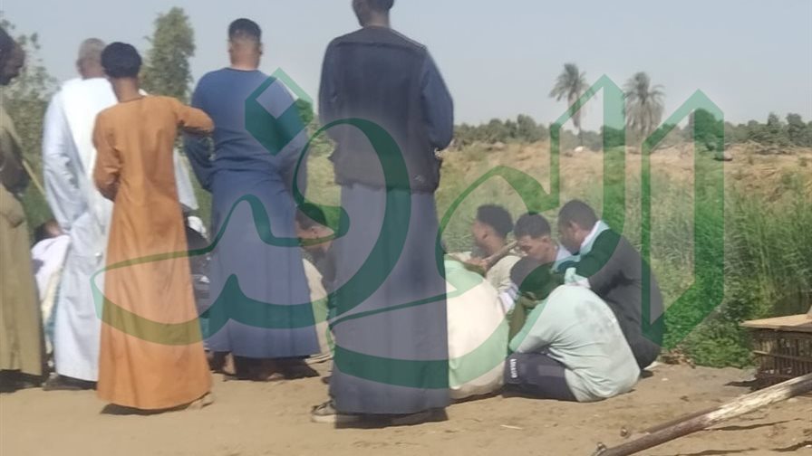 مجموعة يلعبون لعبة الثلاث ورقات “القمار” بمنطقة البيارة بكوم امبو