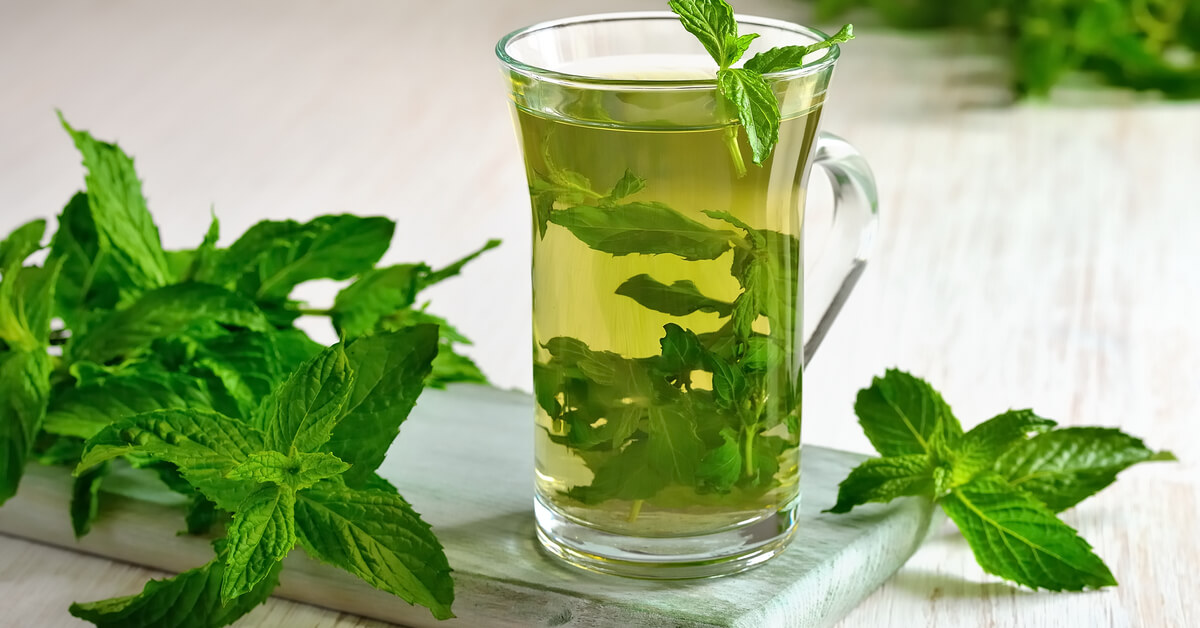 <strong>النعناع</strong>