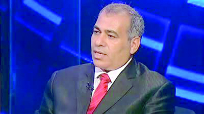 الدكتور عبدالنبى عبدالمطلب، الخبير الاقتصادى