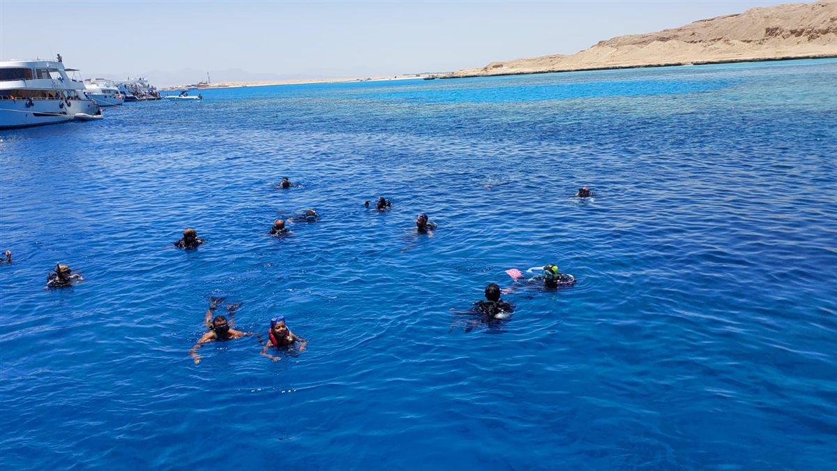 الحملة