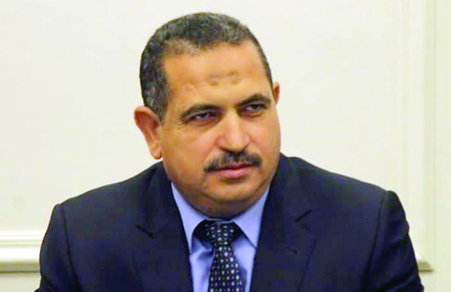 الخبير الاقتصادى الدكتور خالد الشافعى&nbsp;