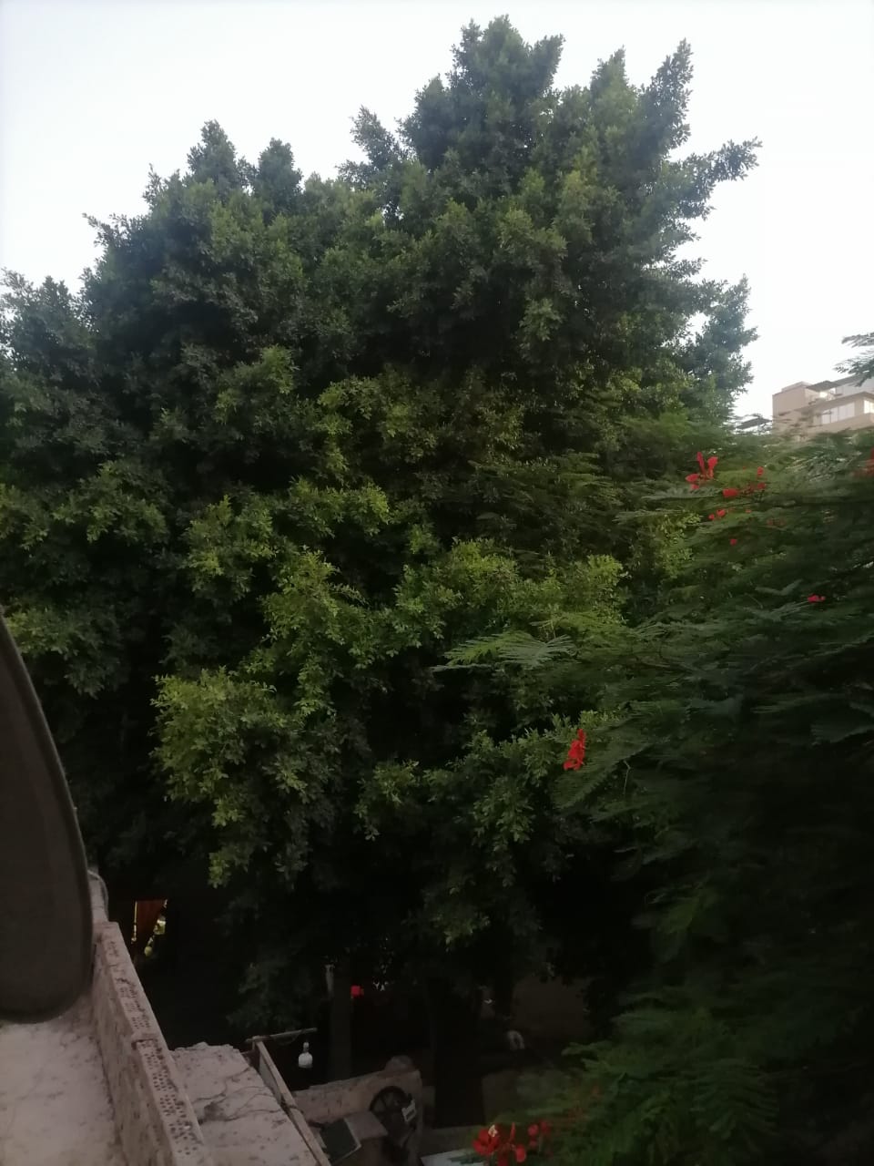 1000916711