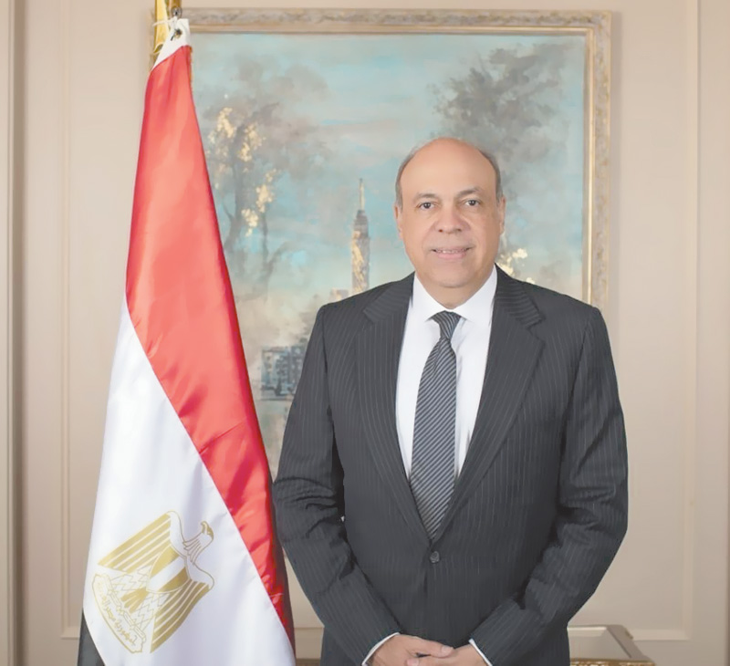 سامح الحفنى