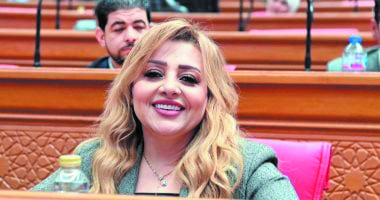 هبة غالى، عضو مجلس النواب