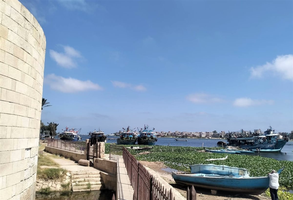 IMG_٢٠٢٦٠٧٠٥_١٣٠٦٠٩