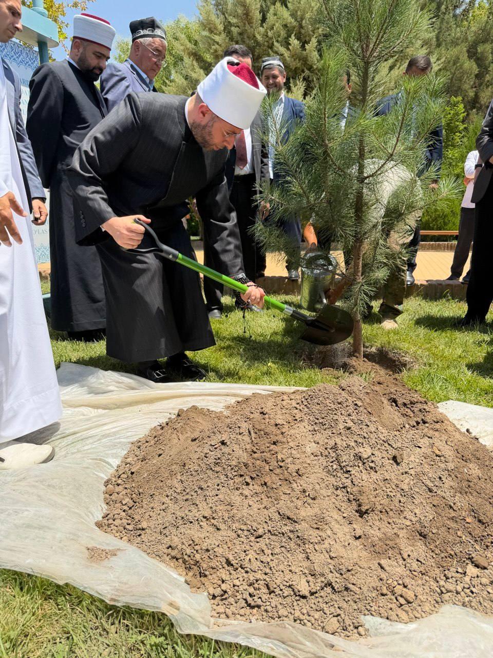 وزير الأوقاف يزور مرقد الإمام الحكيم الترمذي