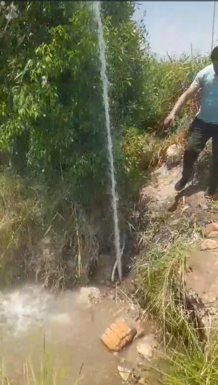 1000623566