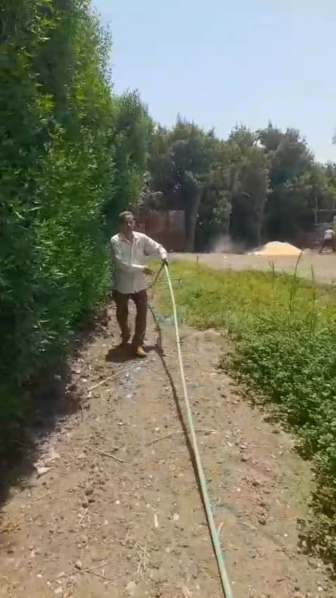 1000623562