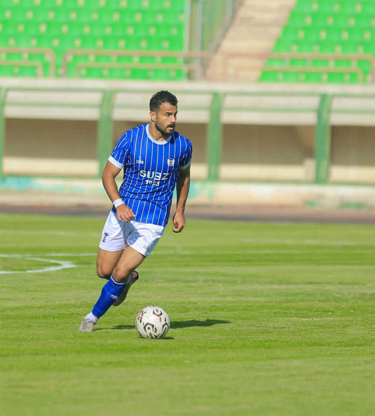 محمد رضا