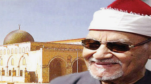 الشيخ أبو العينين شعيشع