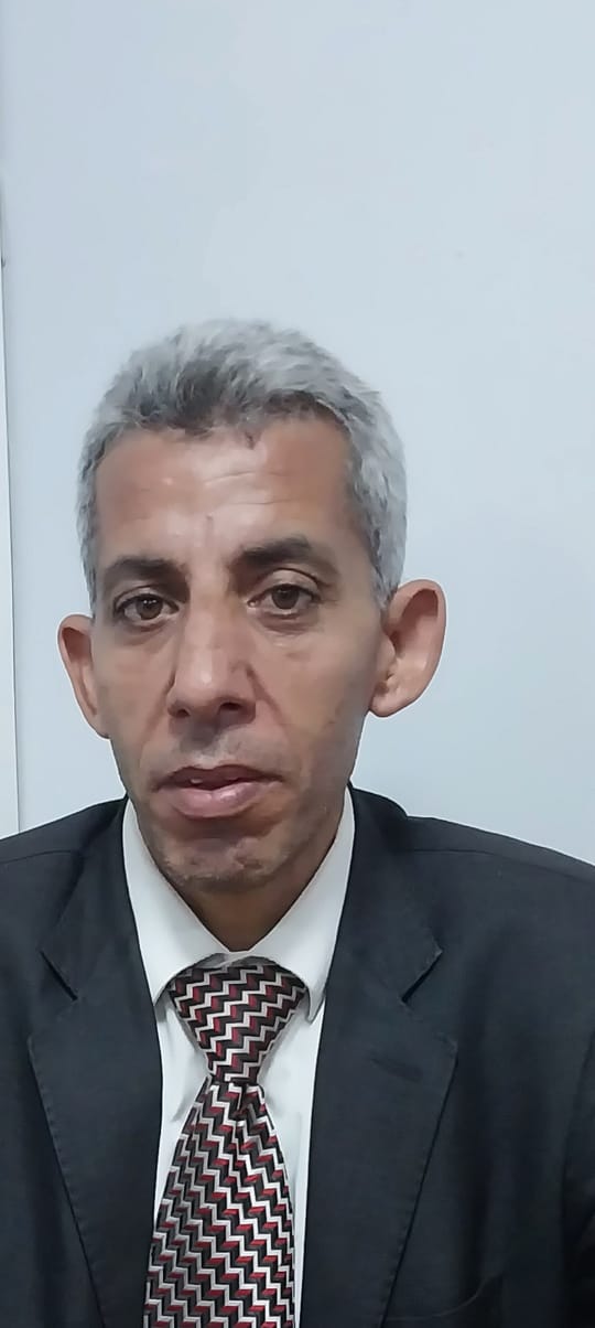 المهندس محمد شتلة