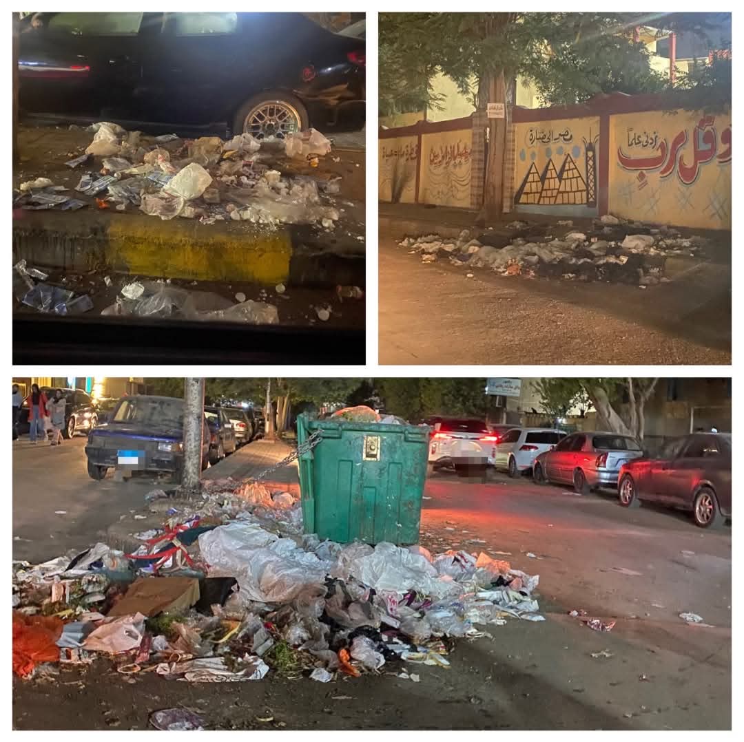 شارع دمشق حي العجوزة قبل