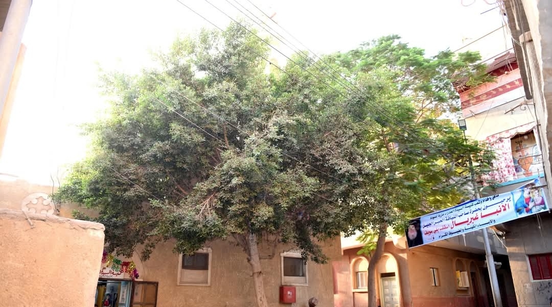 كنيسة السيدة العذراء مريم