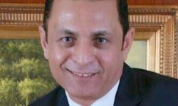 
محمد عبد الفتاح 